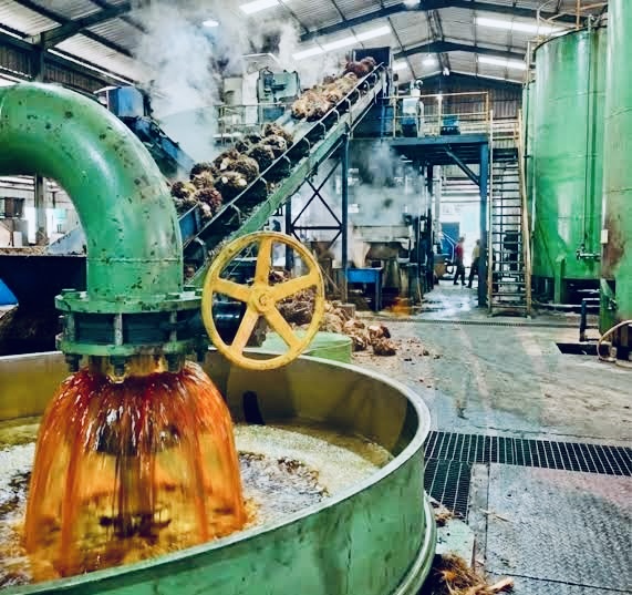 Crude Palm Oil (CPO)