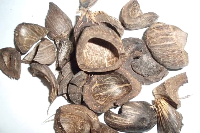 Palm Kernel Shells (PKS)