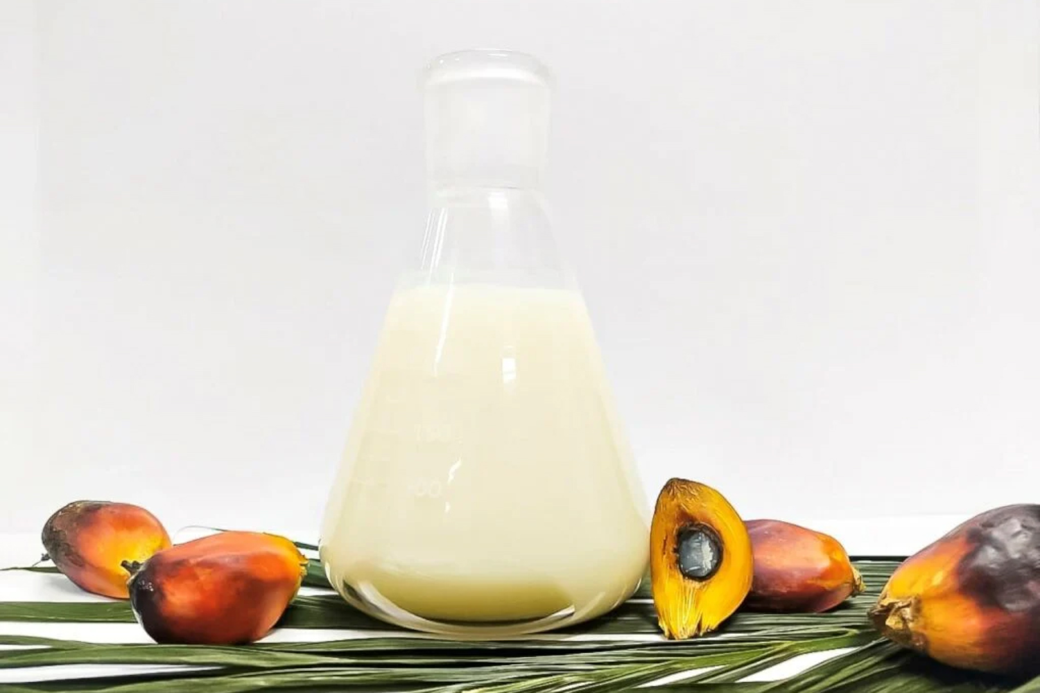 Palm Stearin