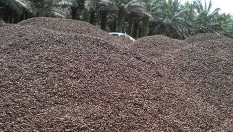 Sustainable Biomass
